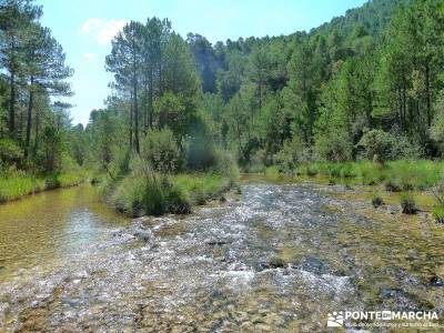 Hoz del Río Escabas - Serranía de Cuenca (Senderismo refrescante);sierra madrid rutas senderismo b